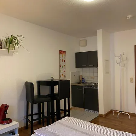 Einzimmerwohnung In Mitte