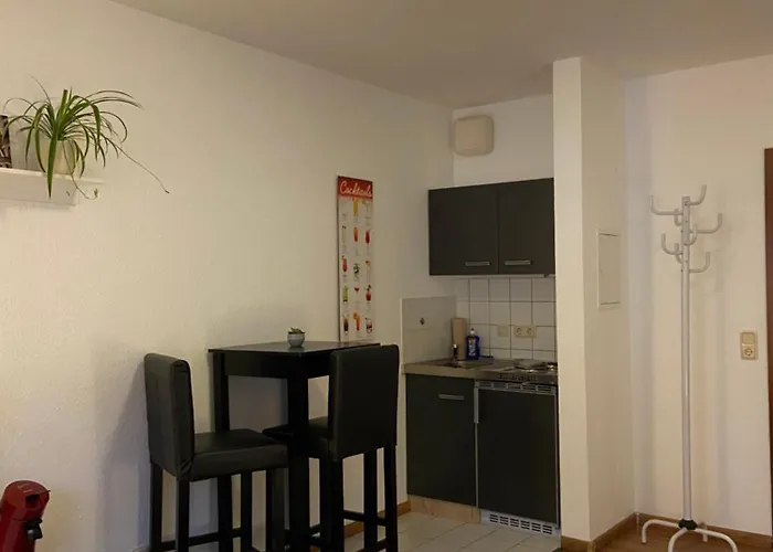 Einzimmerwohnung In Mitte